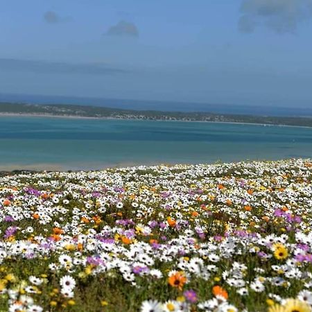 Seagulls Guest House Langebaan Dış mekan fotoğraf